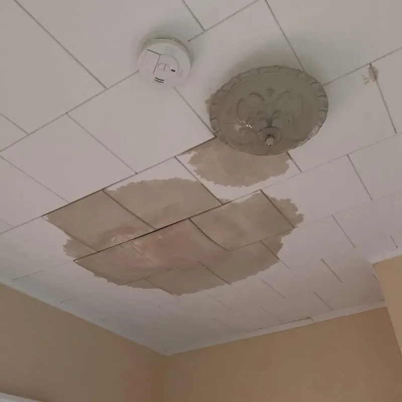 Ceiling Water Damage Repair in Newark, NJ