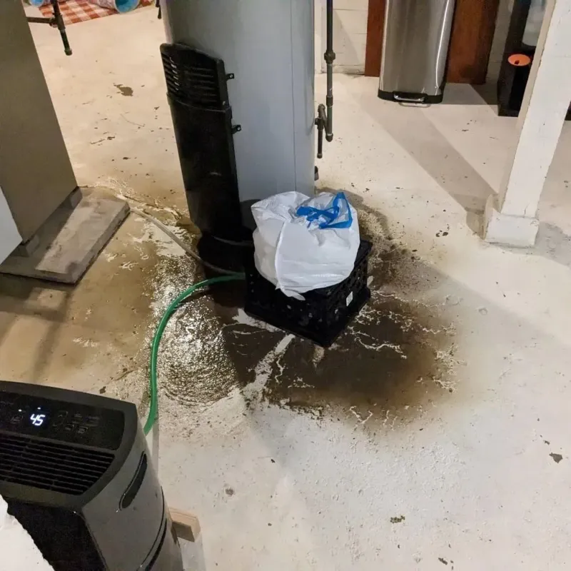 Sewage Backup Cleanup Service in Newark, NJ